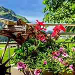 Hotel Steinbock Mittelberg