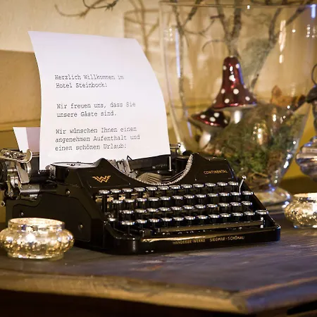 Steinbock Hotel Mittelberg