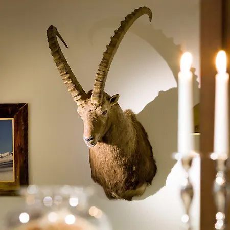Steinbock 3*