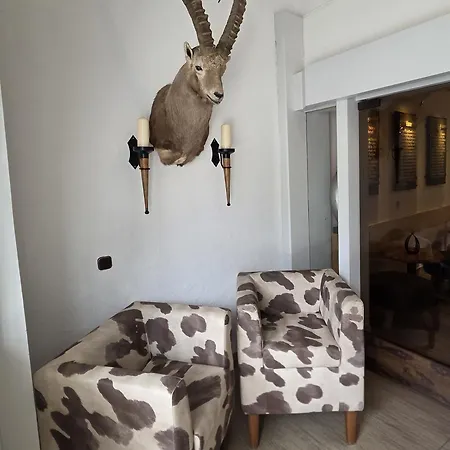 Steinbock Otel 3*