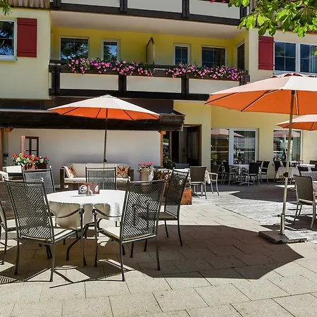 Steinbock Mittelberg