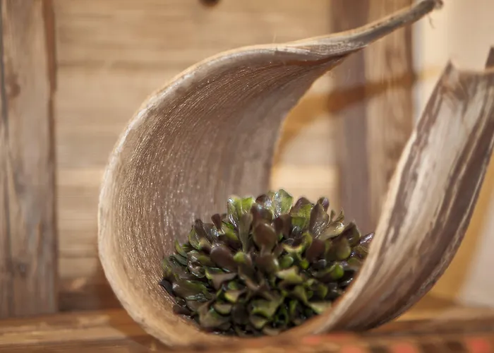 Steinbock Отель