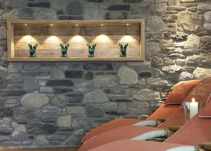 Отель Steinbock 3*