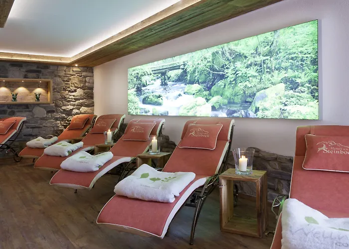 Steinbock Отель