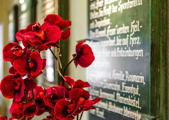 Steinbock Отель Миттелберг