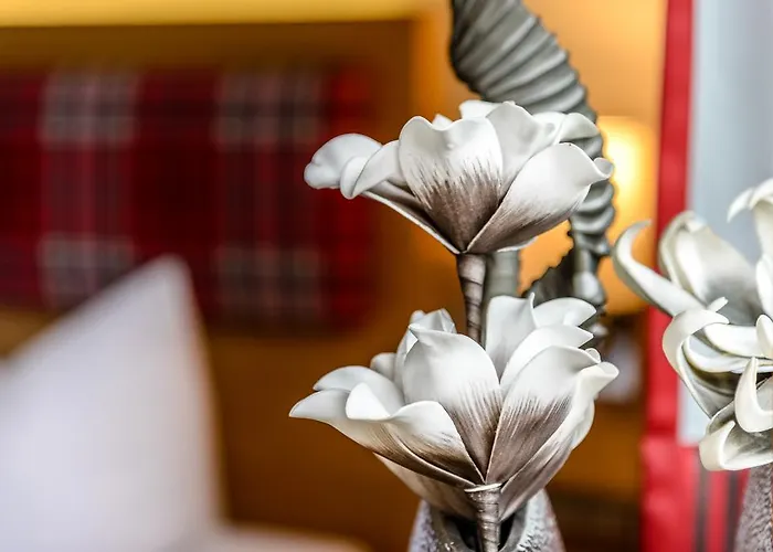 Steinbock Отель